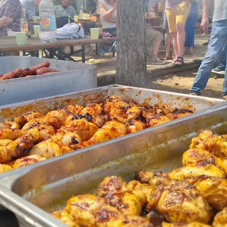 Avec Terrasse Pour 5 Pers. A - Api-1-52-823 مكان تخييم Gondrin